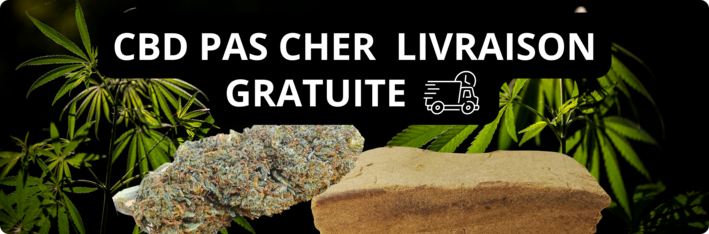 cbd pas cher livraison gratuite